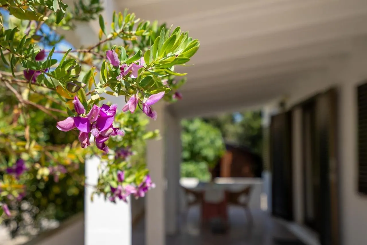 Holiday home Bettina & Birgitta - Formentera Break Villa Es Pujols
